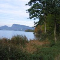 Au bord du lac de Joux
