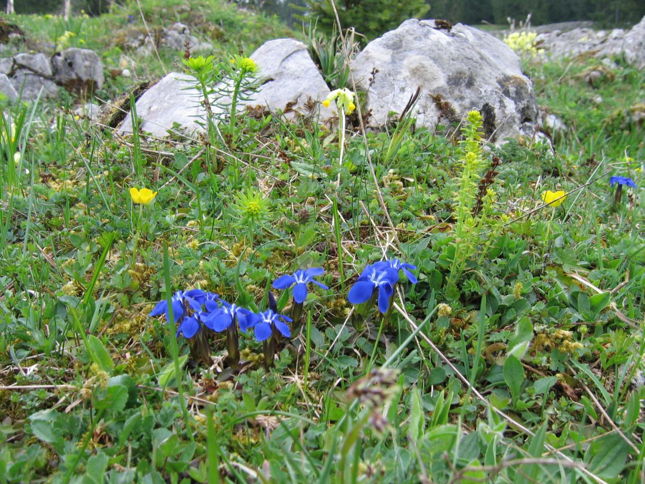 15 mai 2008