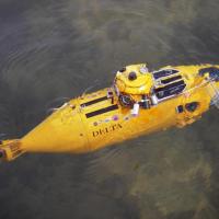 Yellow submarine