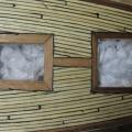 IMG_2159.jpg