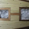IMG_2163.jpg