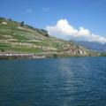 IMG_3460.jpg