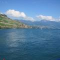 IMG_3464.jpg