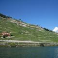 IMG_3467.jpg