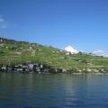 IMG_3471.jpg